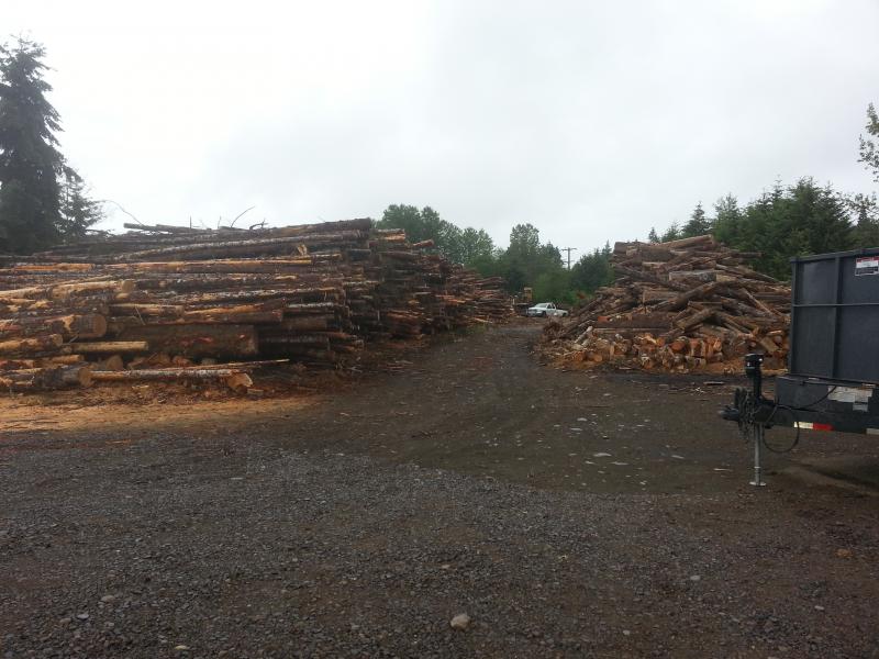 logs